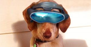 dieren gadgets - Techness